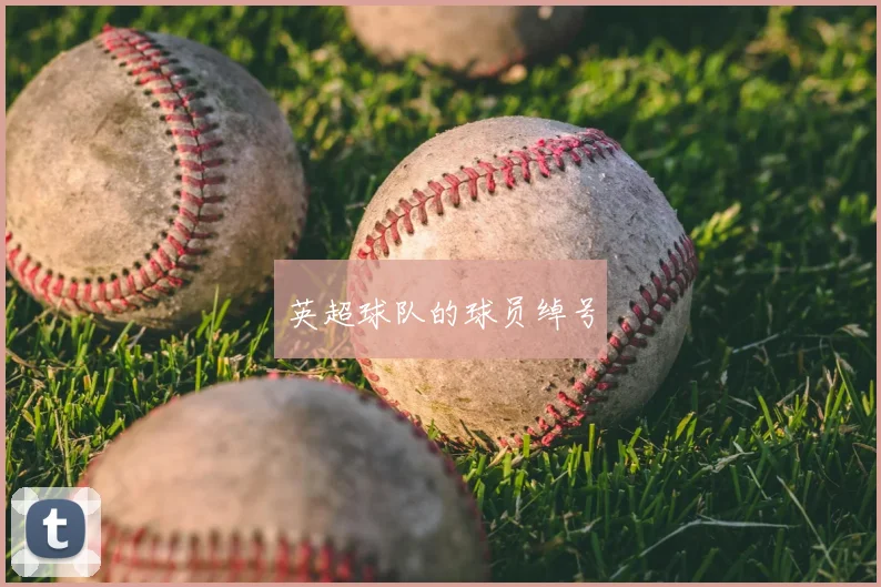 英超球队的球员绰号