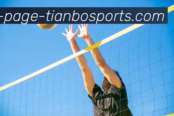 天博综合体育APP 高清赛事图